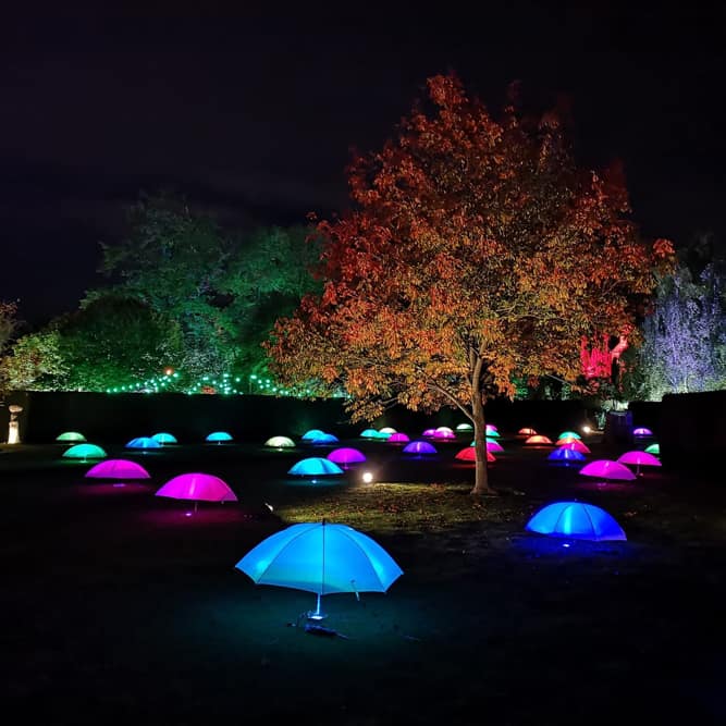 Spectacle of Light installation at Rufford Abbey Country Park